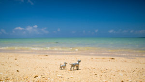 英国のメーカーへの発注の頻度と お客様へお届け出来るお日にちの目安について