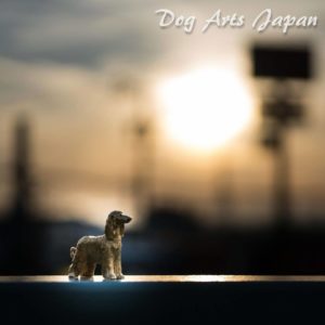 2021年09月の入荷と次回の発注の予定につきまして