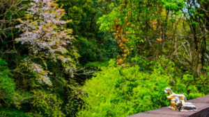 2022年04月の入荷と次回の発注の予定につきまして