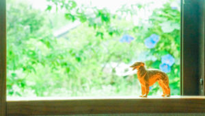 2023年08月の入荷と次回の発注の予定につきまして