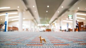 2024年2月の入荷と次回の発注の予定につきまして