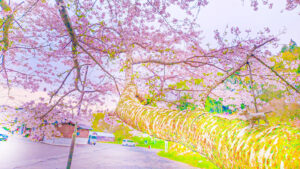 2024年4月の入荷と次回の発注の予定につきまして