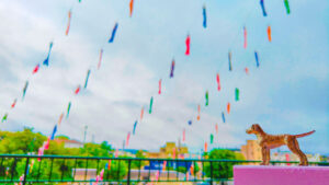 2024年5月の入荷と次回の発注の予定につきまして