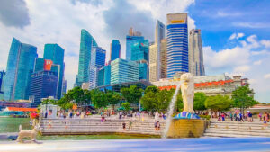 2025年2月の入荷と次回の発注の予定につきまして