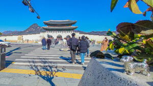 2025年3月の入荷と次回の発注の予定につきまして