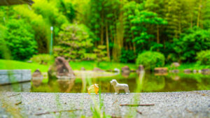 2025年4 , 5月の入荷と次回の発注の予定につきまして