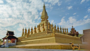 2025年6月の入荷と次回の発注の予定につきまして