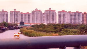 2025年7月の入荷と次回の発注の予定につきまして