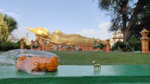 2025年8月の入荷と次回の発注の予定につきまして