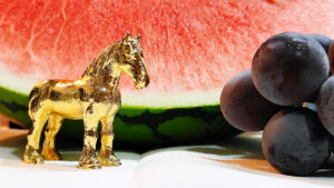 2025年9月の入荷と次回の発注の予定につきまして