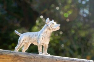 2026年3月の入荷と次回の発注の予定につきまして